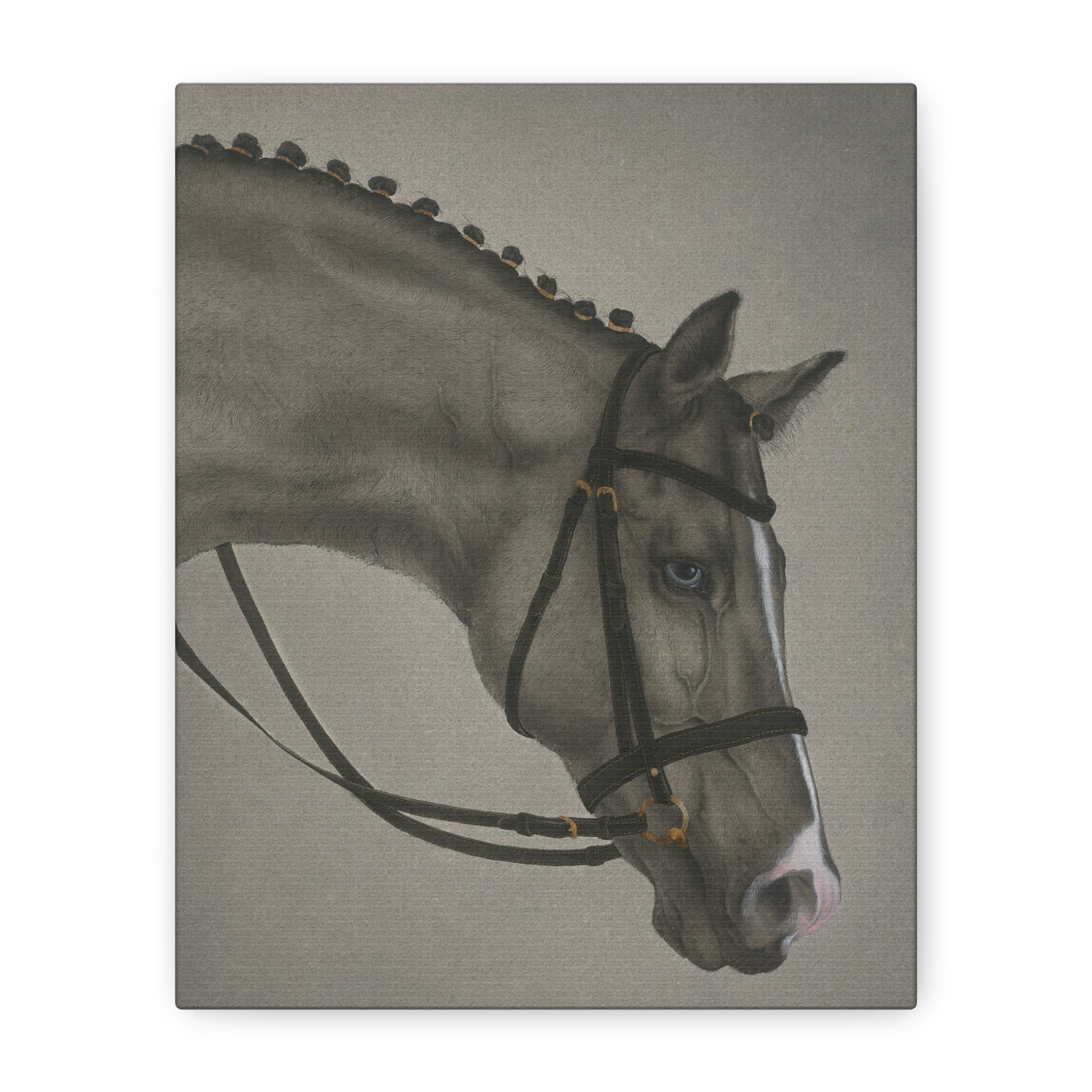 Black Horse -  Chinese  Contemporary watercolor painting - Canvas Print - Gift for year of Horse