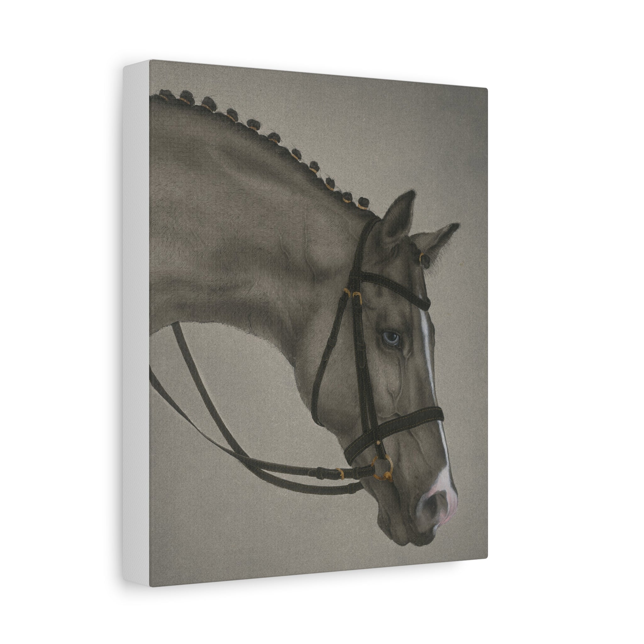 Black Horse -  Chinese  Contemporary watercolor painting - Canvas Print - Gift for year of Horse