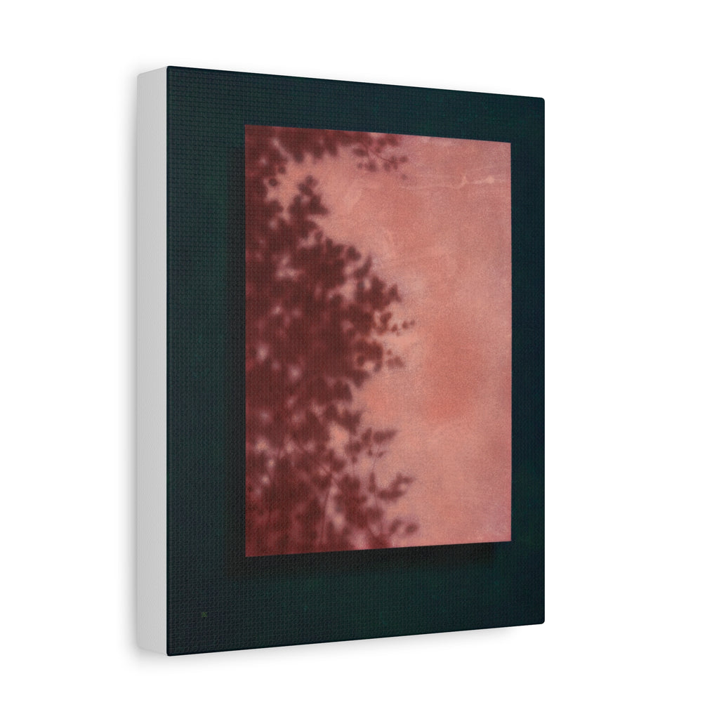 Shadow of a Tree -  Chinese  Contemporary abstract artist - Canvas Print - Gift for new year