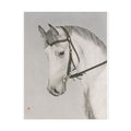Horse Art Poster, Cute Animal Decor, Christmas Wall Art, Kids Room Decoration, Gift for Animal Lovers